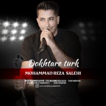 آهنگ جدید محمدرضا صالحی به نام دختر ترک